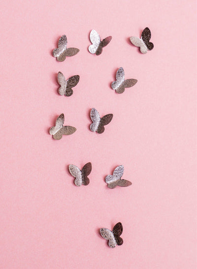 Schmetterlinge  Roségold